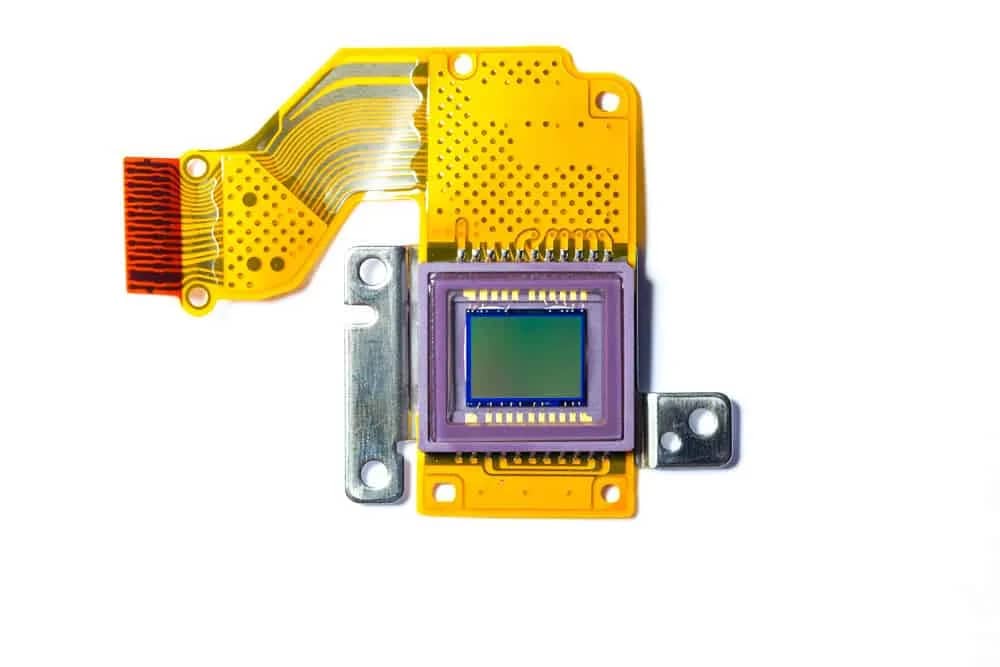 IoT & Wearables